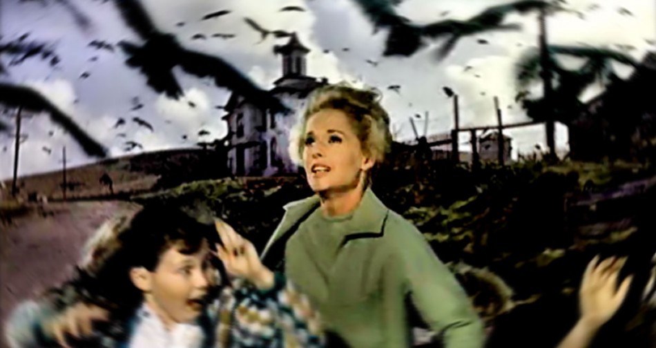 A scene from Alfred Hitchcock's 1963 movie "The Birds." 