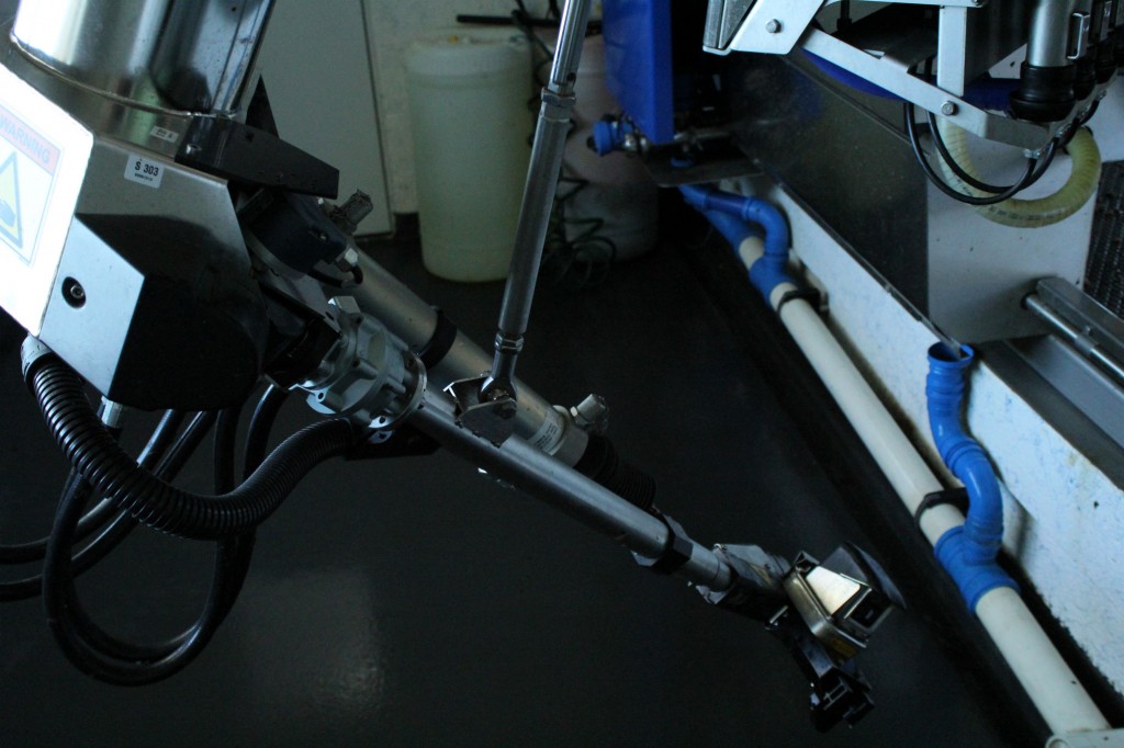 The robotic arm of the milking system. 