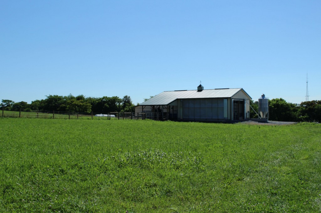 The dairy barn at Rock Hill Orchard. 