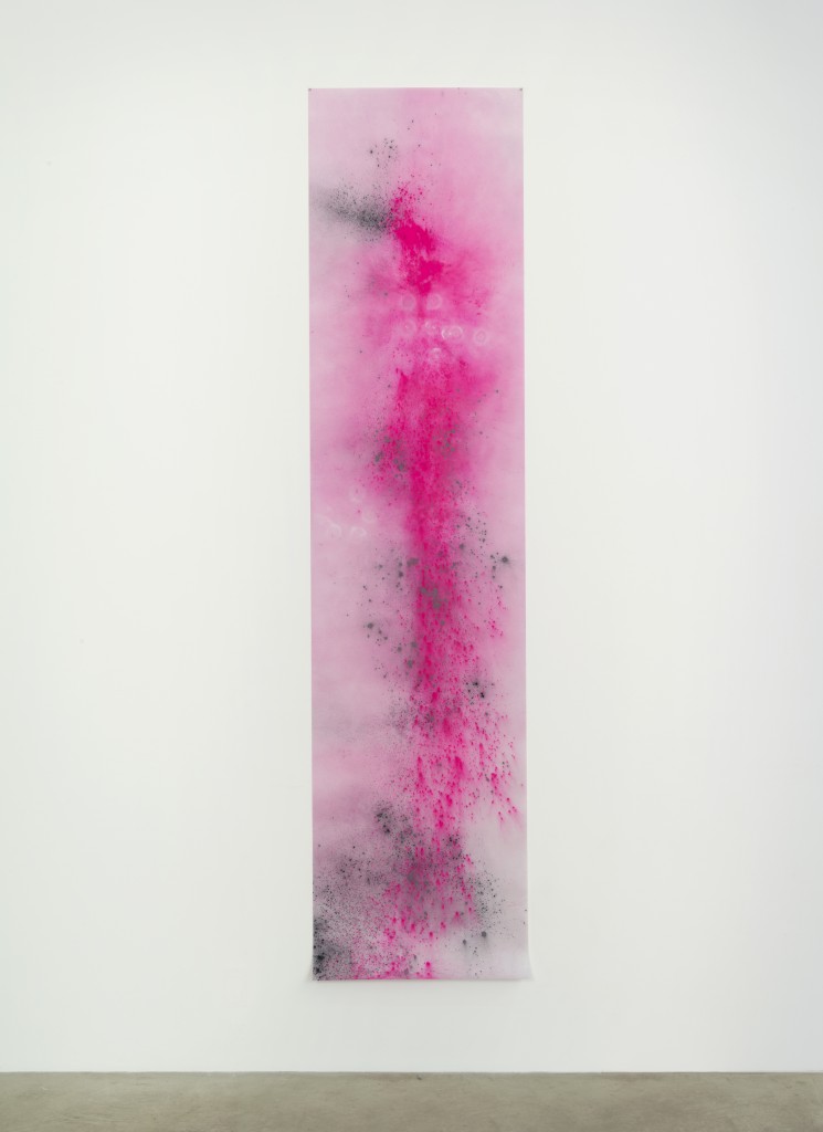 Agras Dusk, 2014 Black Hawk Powder Photo by John Berens Photo courtesy bitforms gallery, New York